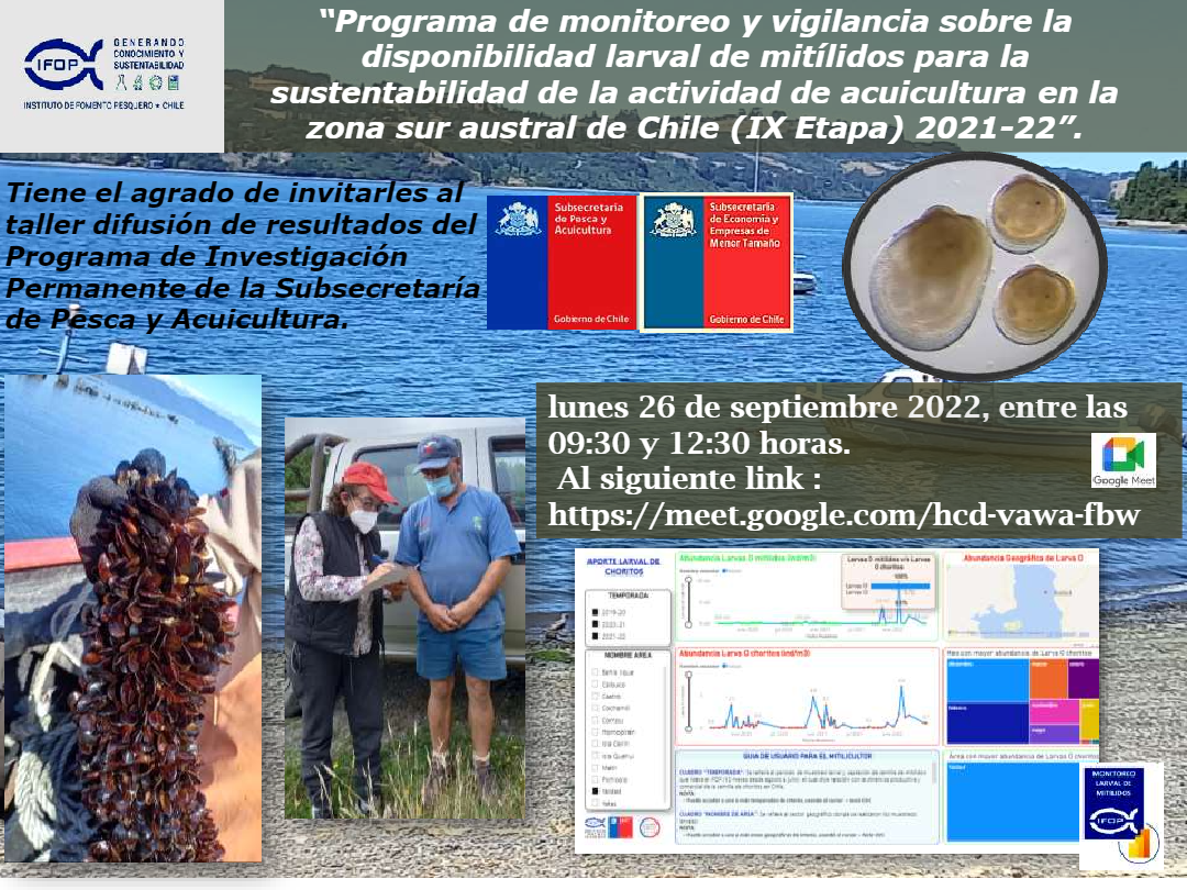 En este momento estás viendo IFOP realizará taller sobre monitoreo de larvas y captación de semillas de mitílidos
